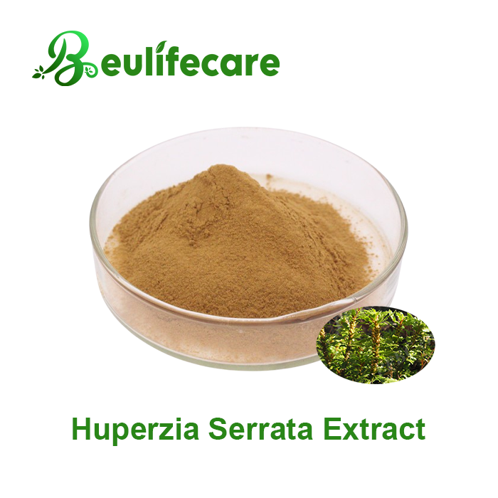 Huperzia Serrata Extract